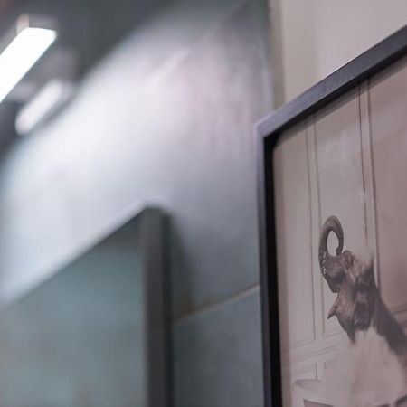 Fabrica Apartments 12 كلوج-نابوكا المظهر الخارجي الصورة
